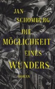 Die Möglichkeit eines Wunders