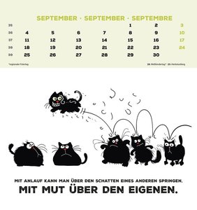Blacky 2023 - Postkarten-Kalender - Kalender-mit-Postkarten - zum-raustrennen - 16x17