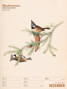 Wunderbare Vogelwelt - Vintage Wochenplaner Kalender 2025