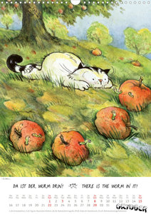 Kater Jacob: Bereit zum Aufbruch! Ready to go! (Wandkalender 2023 DIN A3 hoch)