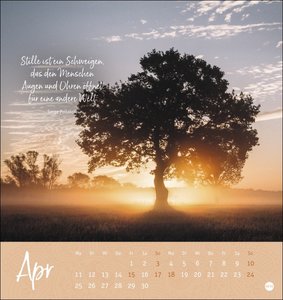 Ich wünsch dir ... stille Momente Postkartenkalender 2022