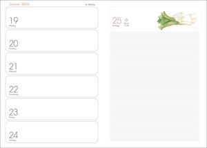 Lady Terminkalender A6 2026