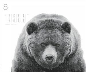 Black & White Animals 2026
