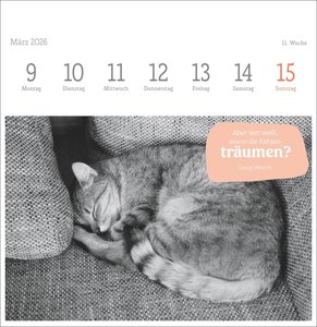 Katzen Weisheiten Premium-Postkartenkalender 2026