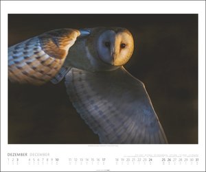 Welt der Vögel Kalender 2023. Tierkalender 2023 mit faszinierenden Fotos unterschiedlichster Vogelarten. Wandkalender Großformat, ein Naturkalender mit beeindruckenden Aufnahmen.