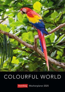 Colourful World Wochenplaner 2025