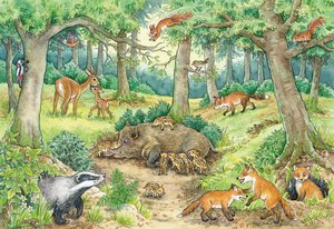 Ravensburger Kinderpuzzle - 05673 Tiere im Wald und auf der Wiese - 2x12 Teile + Wissensposter, Wieso? Weshalb? Warum? Puzzle für Kinder ab 3 Jahren