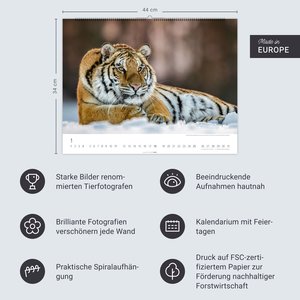 Tiger 2026