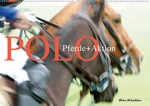 Polo Pferde + Aktion 2020