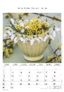 Blumen 2023 - Bildkalender 23,7x34 cm - Kalender mit Platz für Notizen - mit vielen Zusatzinformationen - Wandkalender - Blumenkalender