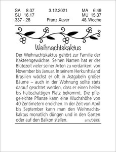 Tagesabreißkalender klein 2026