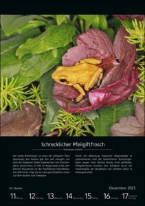 EinzigARTig Wochen-Kulturkalender 2023. 53 bedrohte Tierarten. Eindrucksvoller Fotokalender als Wand-Wochenplaner. Mit Infos zu Lebensweise & Artenschutz
