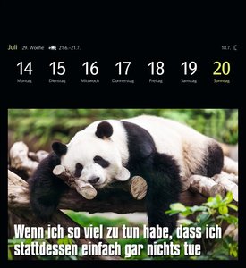 Animal Memes Postkartenkalender 2025 - 53 tierisch witzige Postkarten