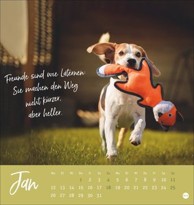 Ziemlich beste Freunde Postkartenkalender 2026