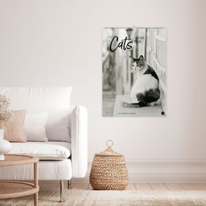 Cats Edition Kalender 2026