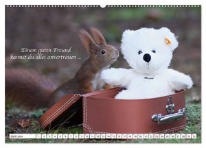 Tipps von Eichhörnchen an Eichhörnchenliebhaber (Wandkalender 2024 DIN A2 quer), CALVENDO Monatskalender