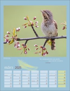 Heimische Vögel Kalender 2025