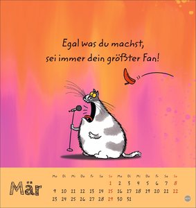 Catzz Postkartenkalender 2026