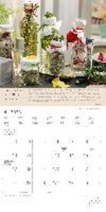 Kräuter & Gewürze 2023 - Broschürenkalender 30x30 cm (30x60 geöffnet) - Kalender mit Platz für Notizen - inkl. Poster - mit Rezepten - Alpha Edition