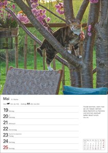 Katzen Wochenplaner 2025 - 53 Blatt mit Zitaten und Wochenchronik