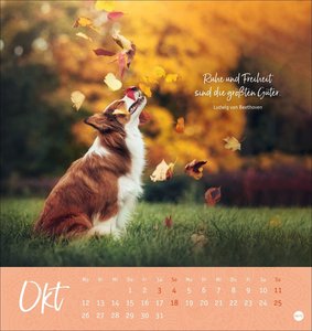 Stille Momente Postkartenkalender 2026