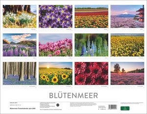 Blütenmeer Posterkalender 2026