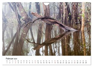 Mythos Amazonas - Naturparadies Brasiliens (Wandkalender 2024 DIN A4 quer), CALVENDO Monatskalender