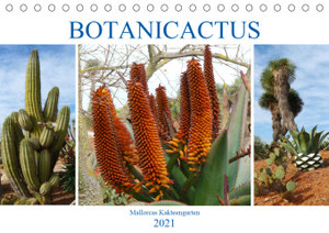 BOTANICACTUS Mallorcas Kakteengarten (Tischkalender 2021 DIN A5 quer)