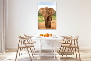 Premium Textil-Leinwand 80 cm x 120 cm  hoch Elefant