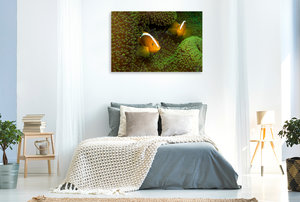 Premium Textil-Leinwand 120 cm x 80 cm quer Nemos in der Weite ihrer grünen Anemone