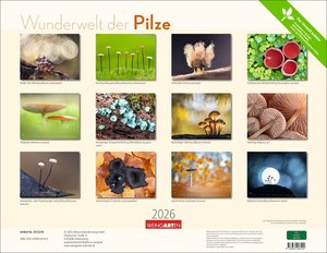 Wunderwelt der Pilze  2026