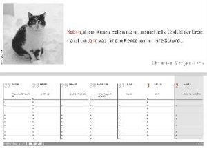 Der literarische Katzen Wochenplaner 2022