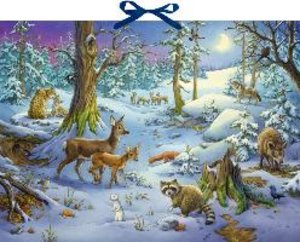 Sound-Adventskalender - Hört ihr die Tiere im Winterwald?