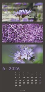 Die Farben der Natur Kalender 2026