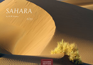 Sahara 2022 L