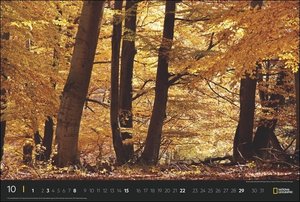 Deutschlands Naturparadiese National Geographic Kalender 2023. Großer Foto-Wandkalender XXL Landschaften-Kalender 2023 mit atemberaubenden Fotos. 58x39 cm Querformat.