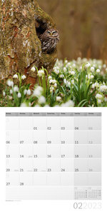 Heimische Wildtiere Kalender 2023 - 30x30