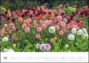 Traumhafte Gartenbeete 2023 - Fotografiert von Clive Nichols - Wandkalender - Format 42 x 29,7 cm - Mit Spiralbindung