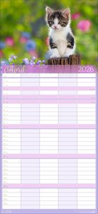 Cool Cats Familienplaner 2026