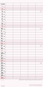 Alpha Edition - Familienplaner XL 2025 Familienkalender, 22x45cm, Kalender mit 5 Spalten, viel Platz für Notizen, Offset-Papier, deutsches Kalendarium und Ferientermine DE/AT/CH