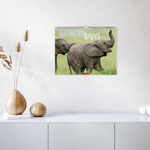 Elefantenbabys 2026