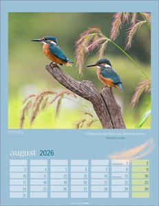 Heimische Vögel Kalender 2026