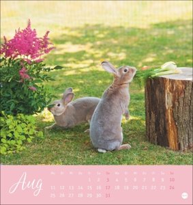 Süße Kaninchen Postkartenkalender 2025