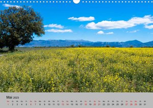 Traumziel Haute Provence (Wandkalender 2023 DIN A3 quer)