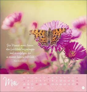 Sonne im Herzen Postkartenkalender. Monats-Tischkalender zum Aufstellen oder Aufhängen. Postkarten-Fotokalender 2023 mit Sprüchen zum Nachdenken, Sammeln oder Verschicken