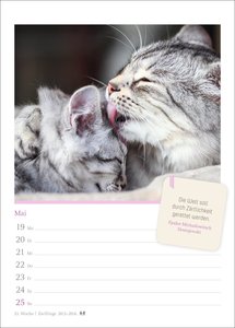 Katzenglück Wochenkalender 2025