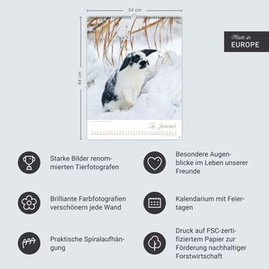 Kaninchenkinder Posterkalender 2026