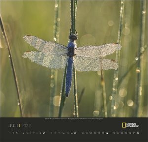 Deutschlands Naturparadiese National Geographic Kalender 2022