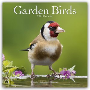 Garden Birds - Gartenvögel 2024 - 16-Monatskalender
