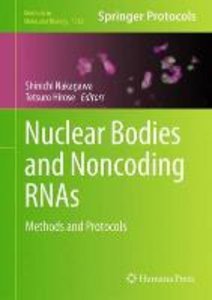 Nuclear Bodies and Noncoding RNAs